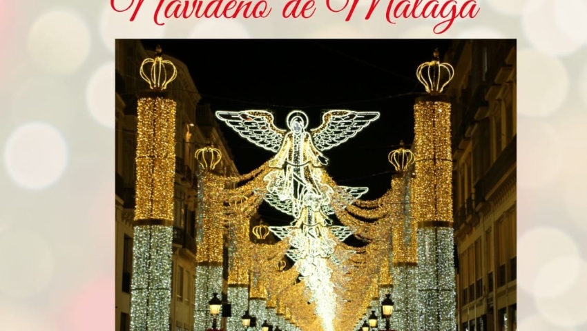 Visita al genial alumbrado de Málaga