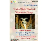 Visita al genial alumbrado de Málaga