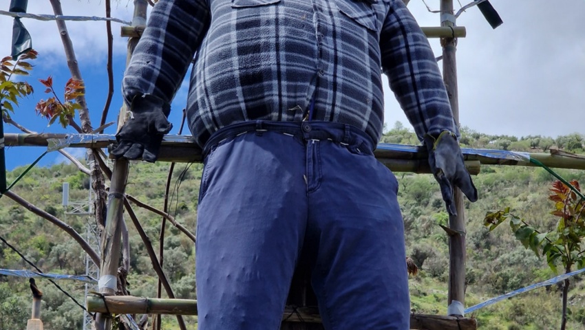 491975302_122120876558771870_7212722373900372889_n (1) 491975302_122120876558771870_7212722373900372889_n (1)