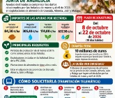Ayudas para explotaciones de almendro afectadas por las heladas de 2026.